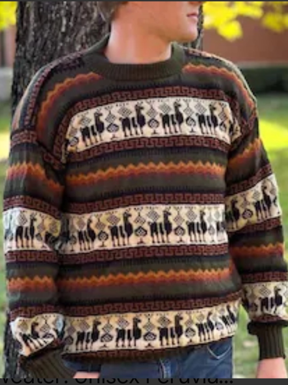 Peruvian Alpaca Sweater Mens Medium Soft Cozy Pullover Crew Neck Brown Green